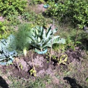 Beet4Befreit 2026-07-21 10.48.